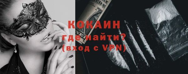 ПСИЛОЦИБИНОВЫЕ ГРИБЫ Вязники