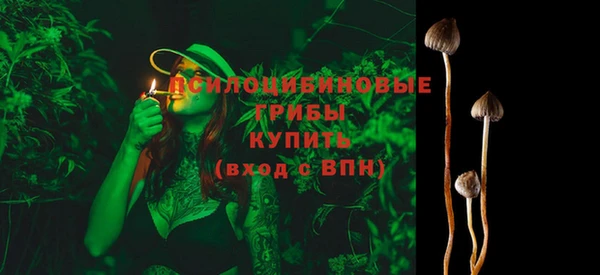 хмурый Волосово