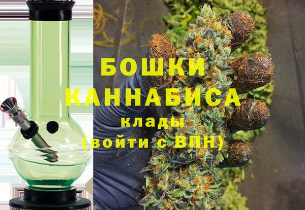 ПСИЛОЦИБИНОВЫЕ ГРИБЫ Вязники