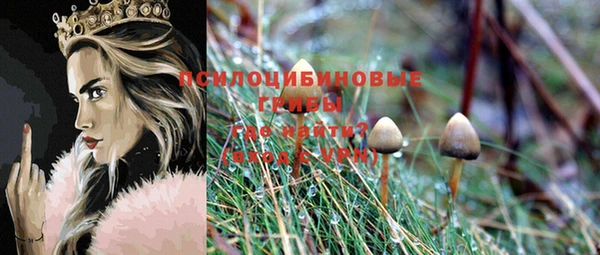 бошки Волоколамск