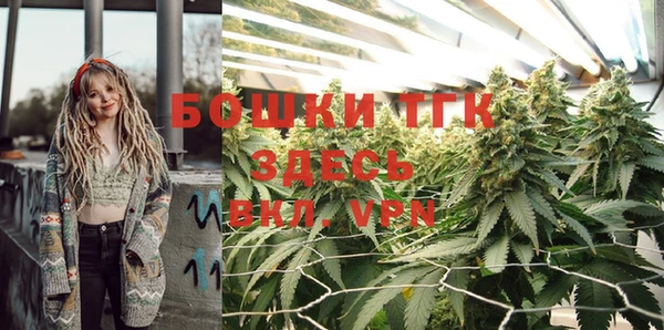 ПСИЛОЦИБИНОВЫЕ ГРИБЫ Вязники
