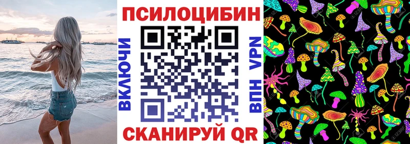 где можно купить   Лодейное Поле  Галлюциногенные грибы Psilocybine cubensis 